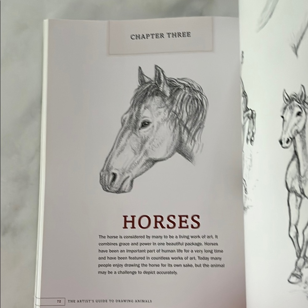 The Artist's Guide to Drawing Animals by J. C. Amberlyn - Picture 12 of 16